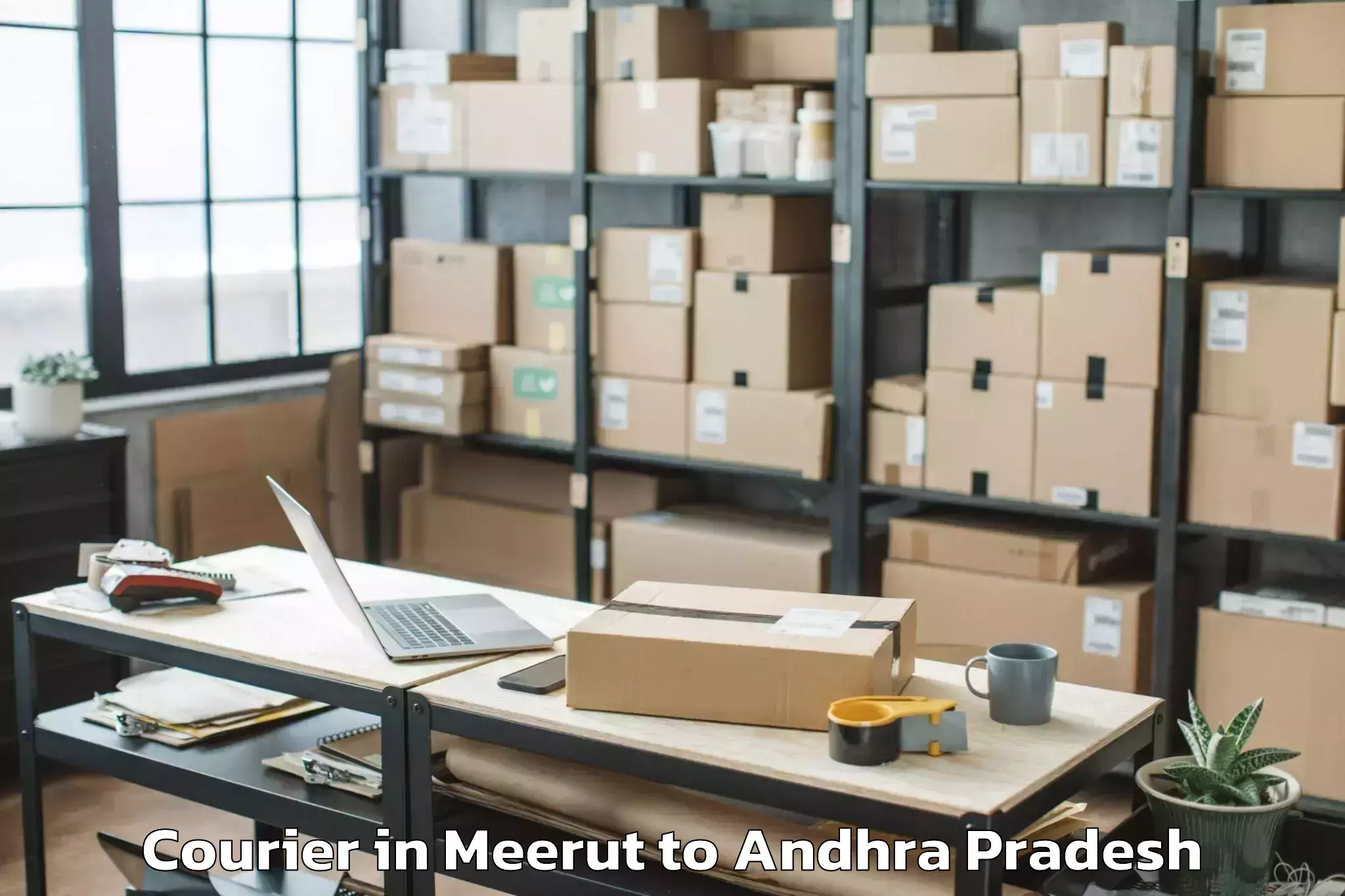 Leading Meerut to Ojili Courier Provider